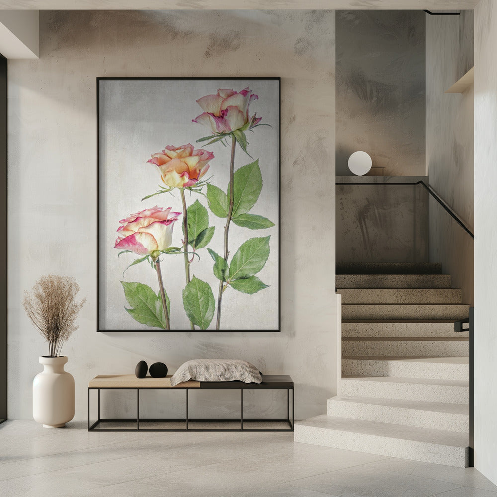 Roses | Poster