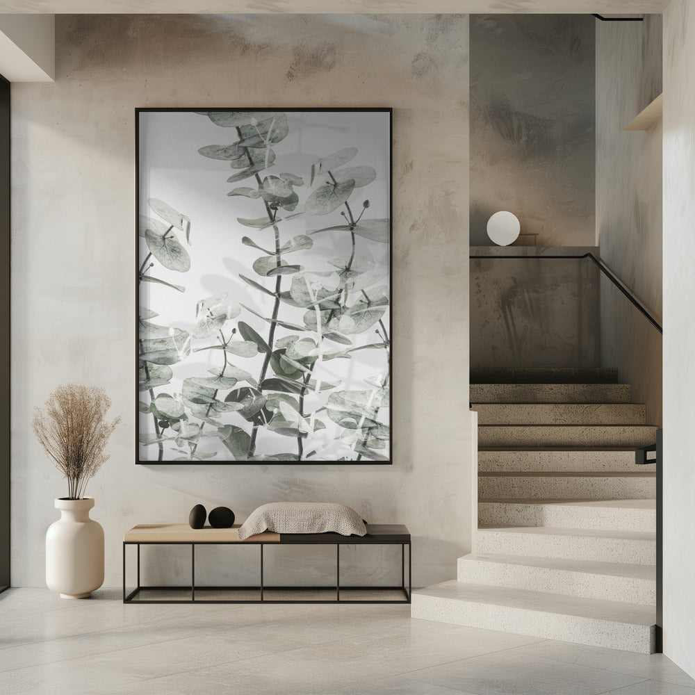 Eucalyptus_001 | Poster