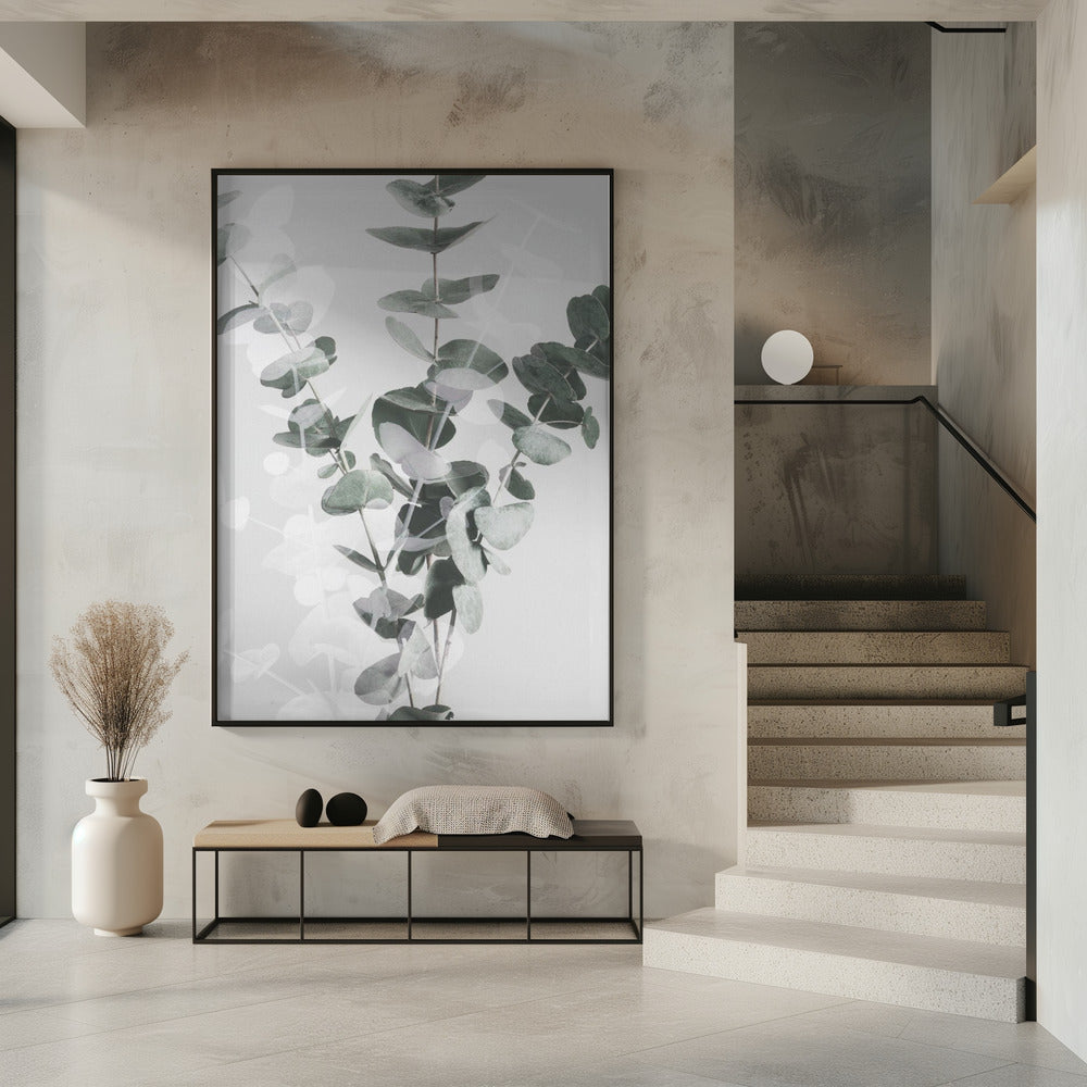 Eucalyptus_002 | Poster