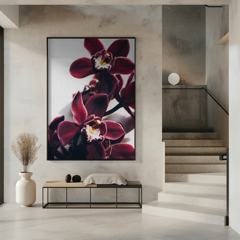 Samt-Orchidee-Dämmerung | Poster