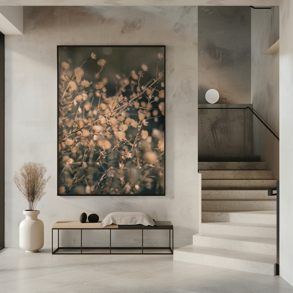 Beach flowers_003 | Poster