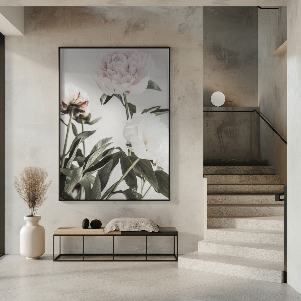 Peony 04 | Poster