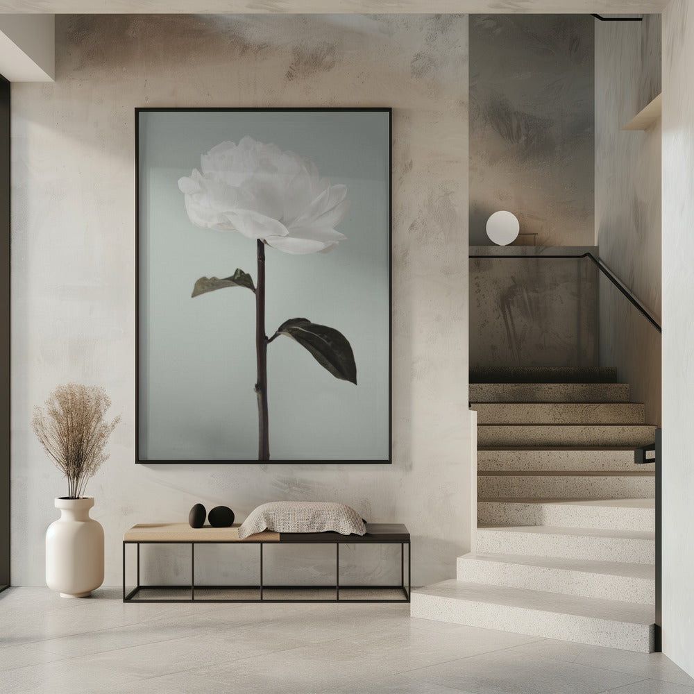 Peony 16 | Poster