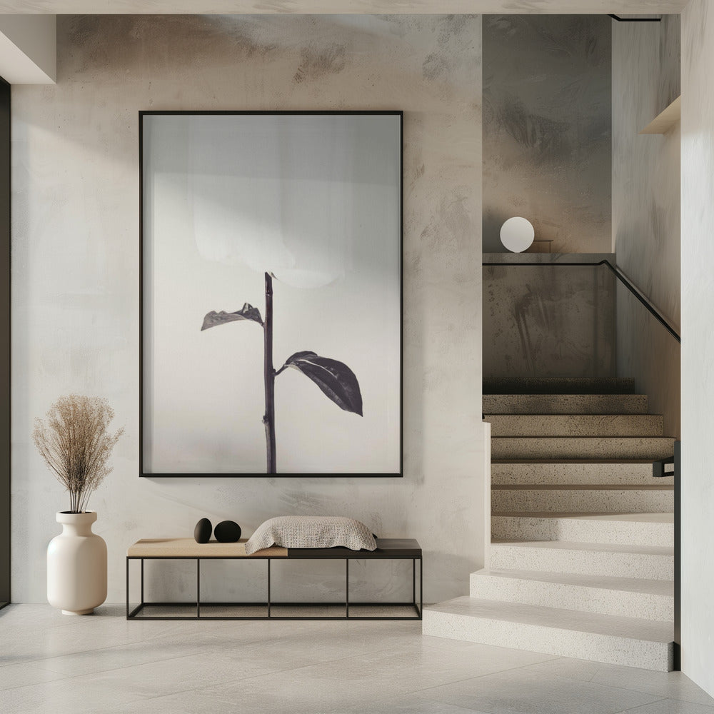 Peony 18 | Poster