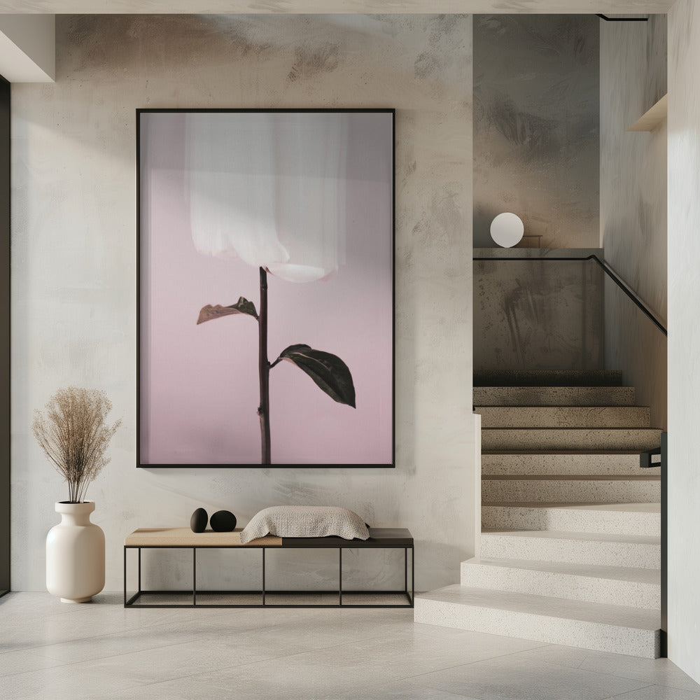 Pfingstrose 19 | Poster