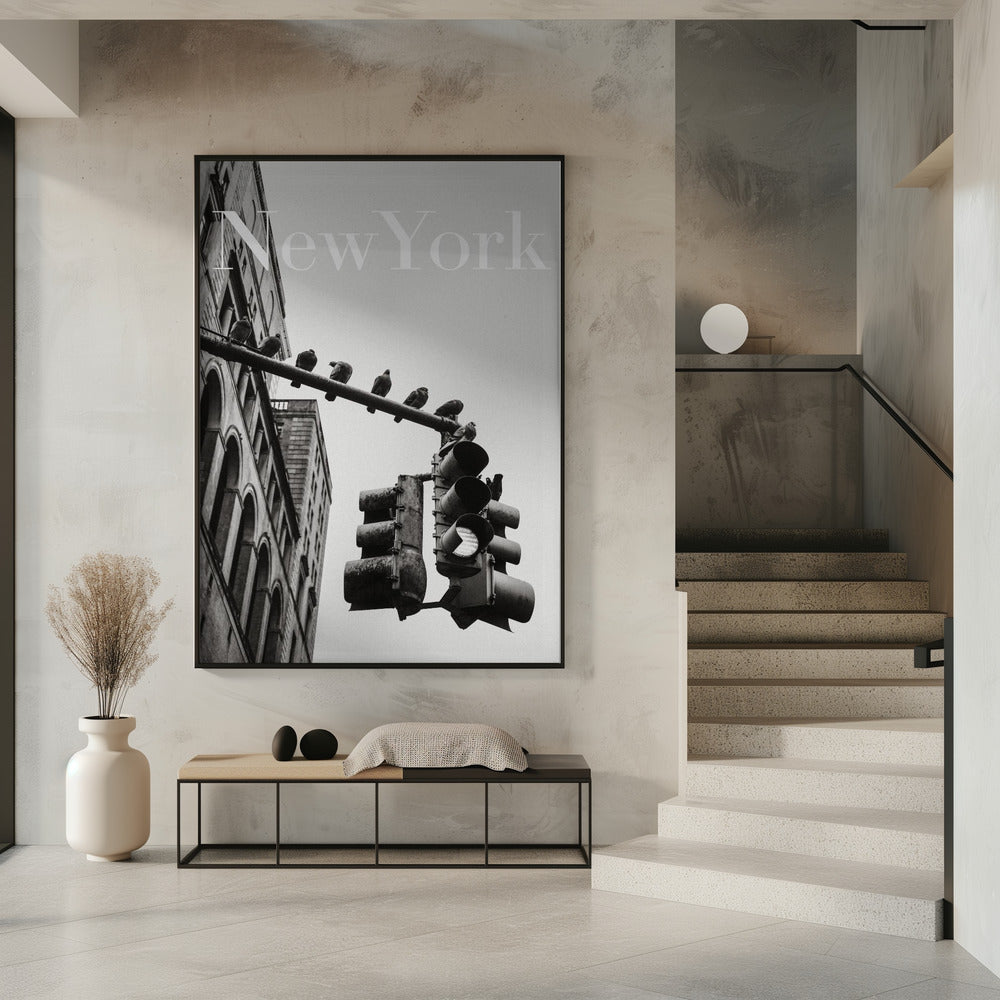 NYC Tauben | Poster