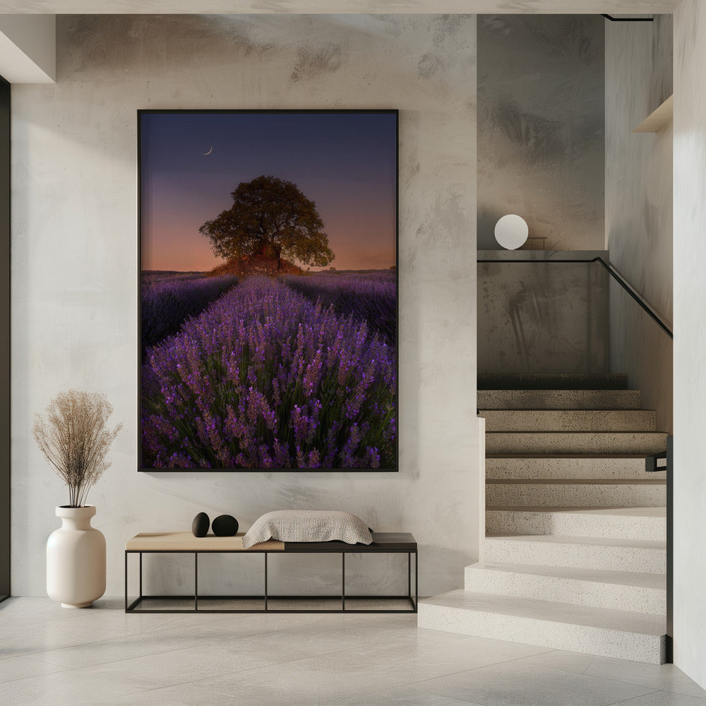 Lavender and Moon | Poster