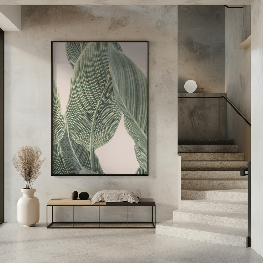 Calla-Blatt | Poster
