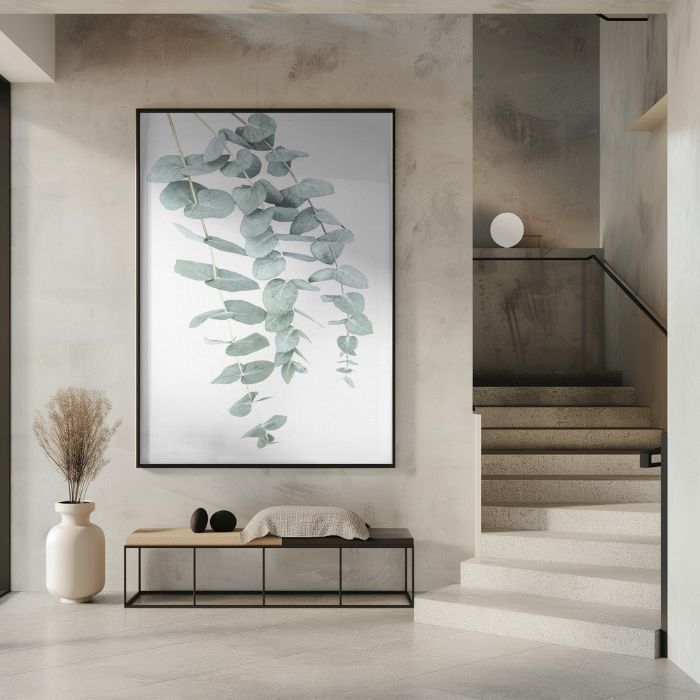 Eukalyptus I | Poster