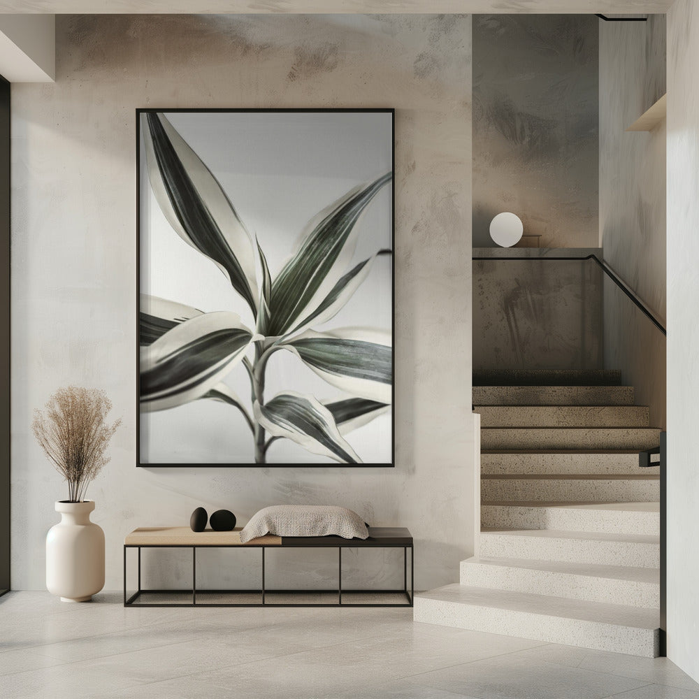Laub | Poster