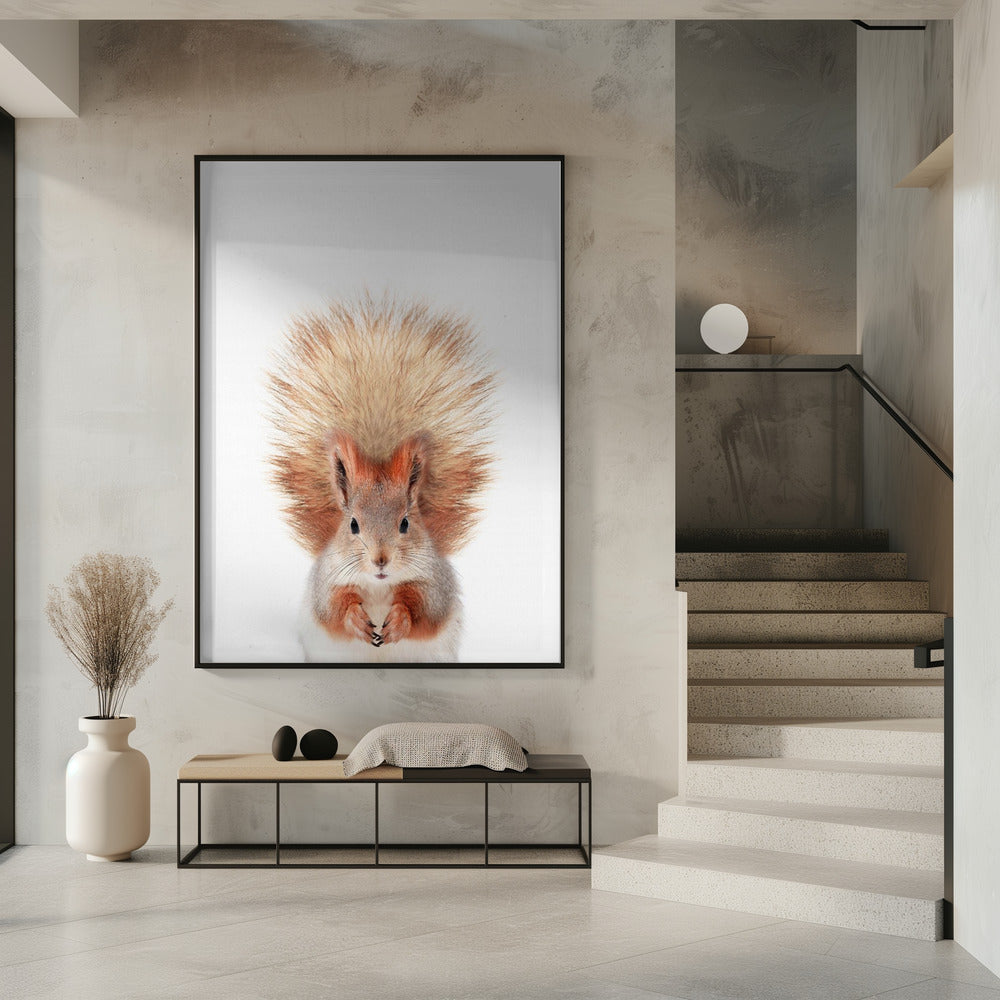 Baby-Eichhörnchen | Poster