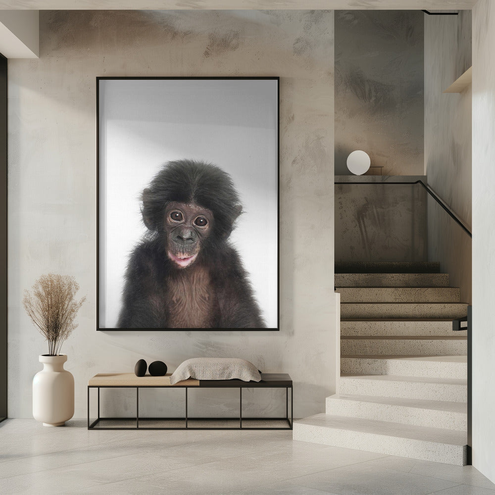 Baby Affe | Poster