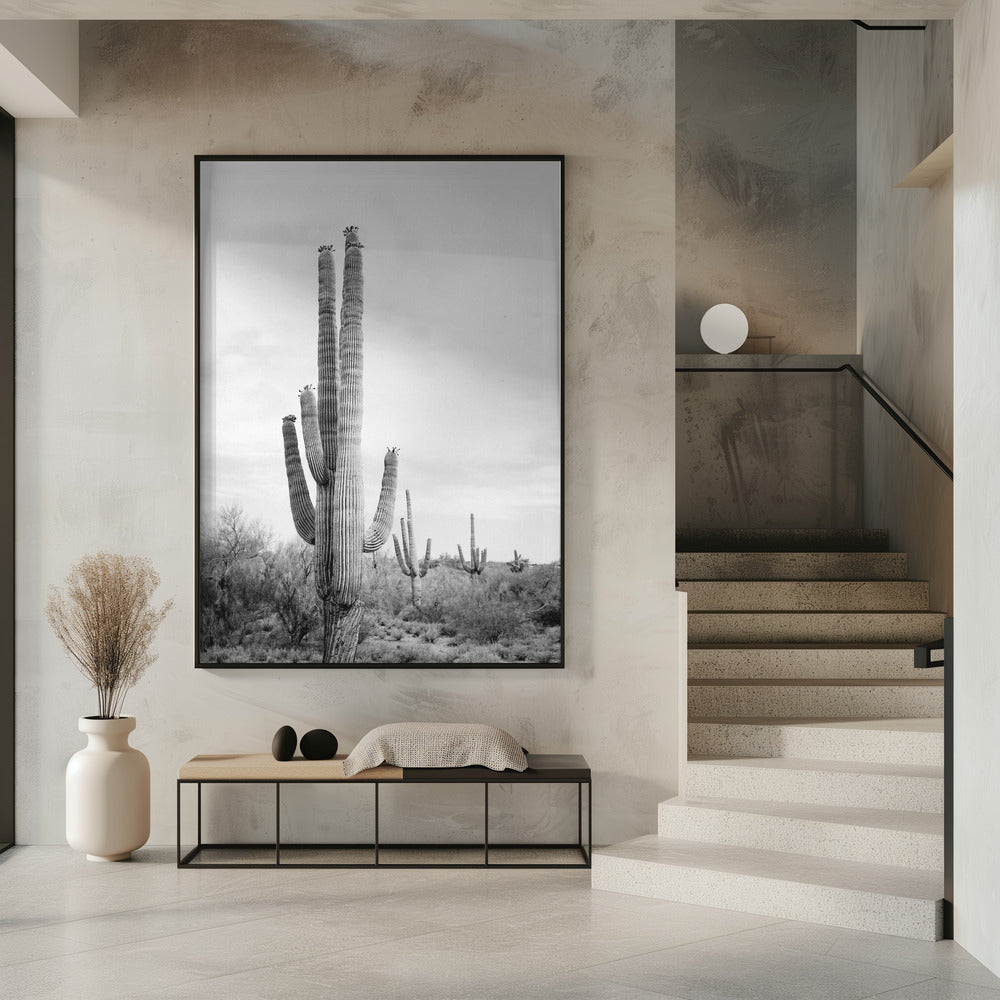 Saguaro B&W | Poster