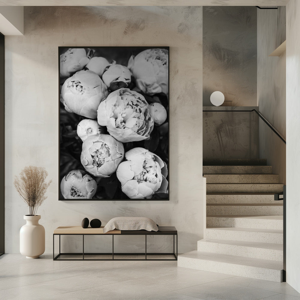 Pfingstrosen | Poster