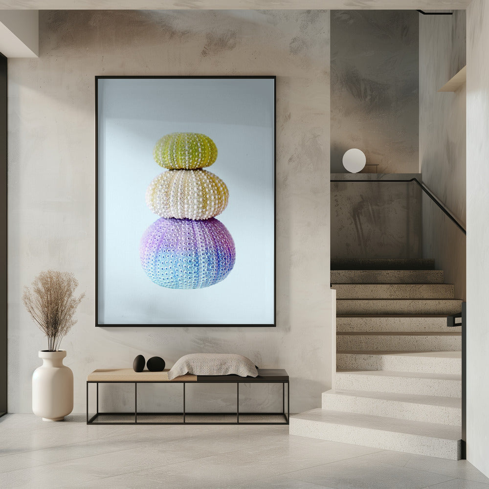 Seeigel | Poster