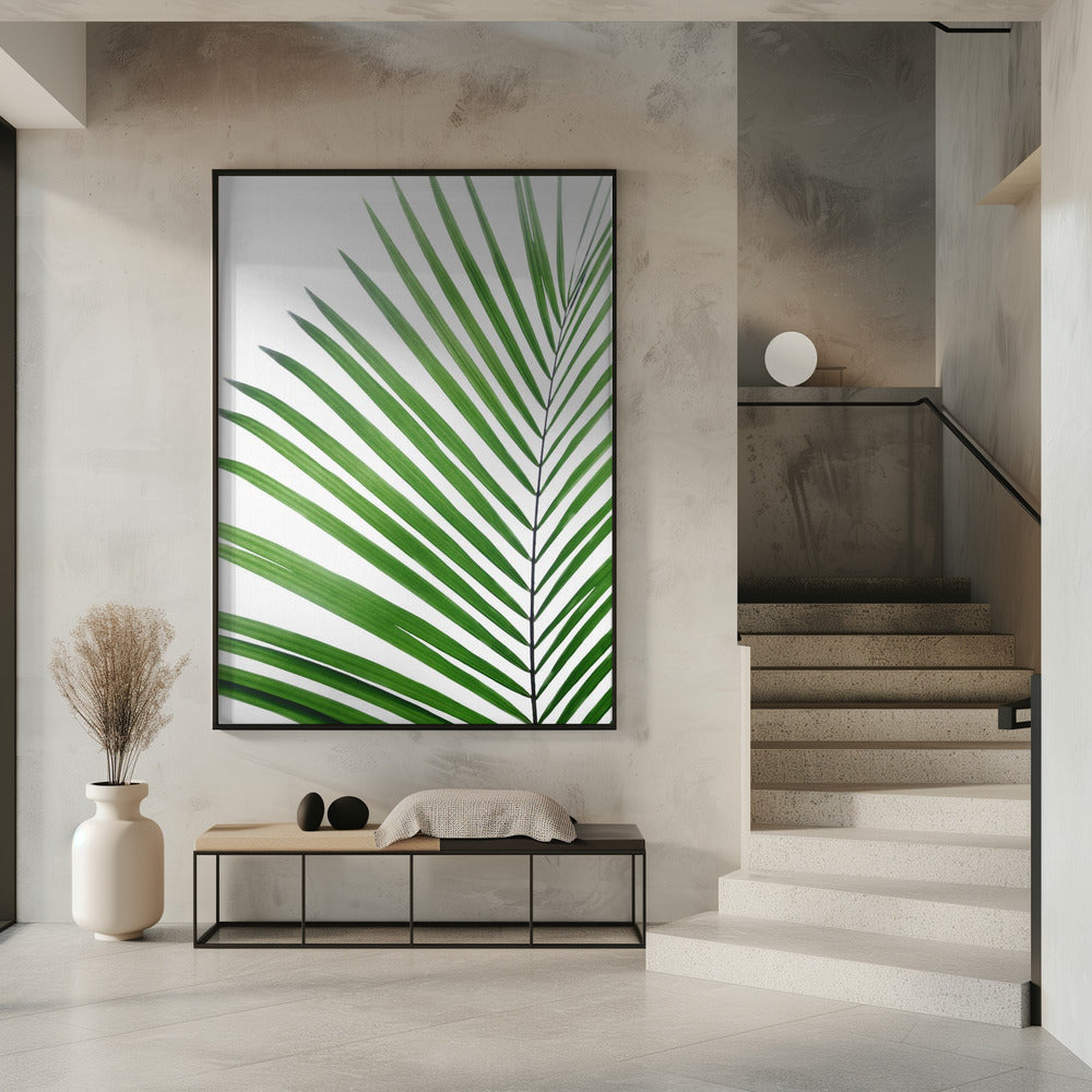 Grünes Palmblatt | Poster