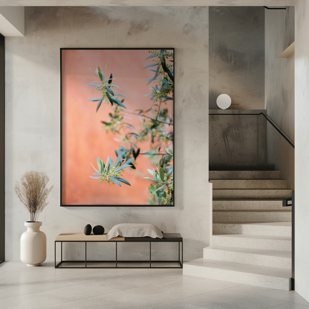 Green and coral | Poster