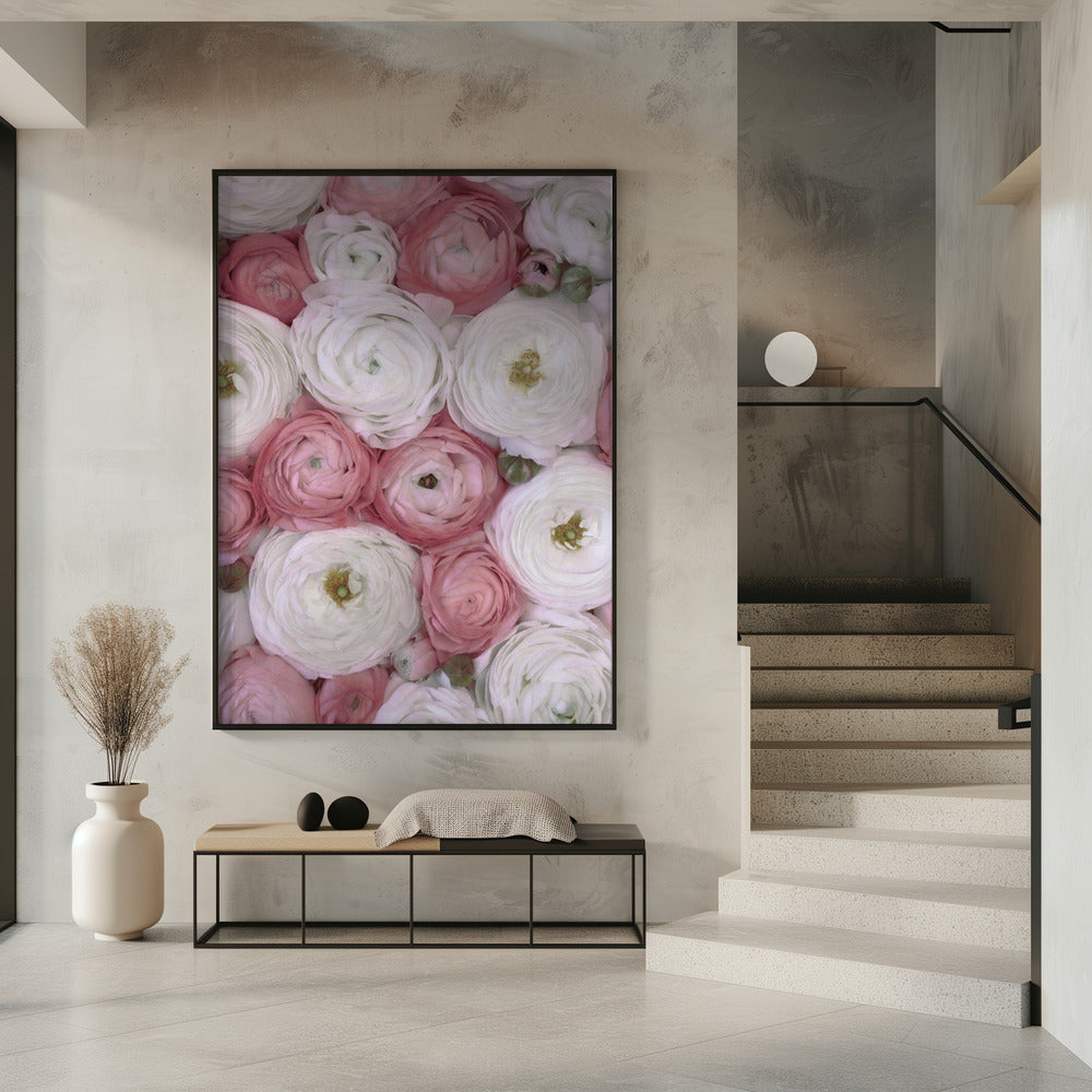 Verstreute Ranunkeln in gedecktem Rosa II | Poster