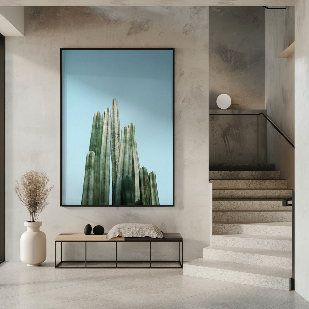 Cacti | Poster