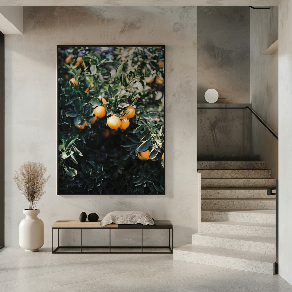 Marrakesch Orangen | Poster