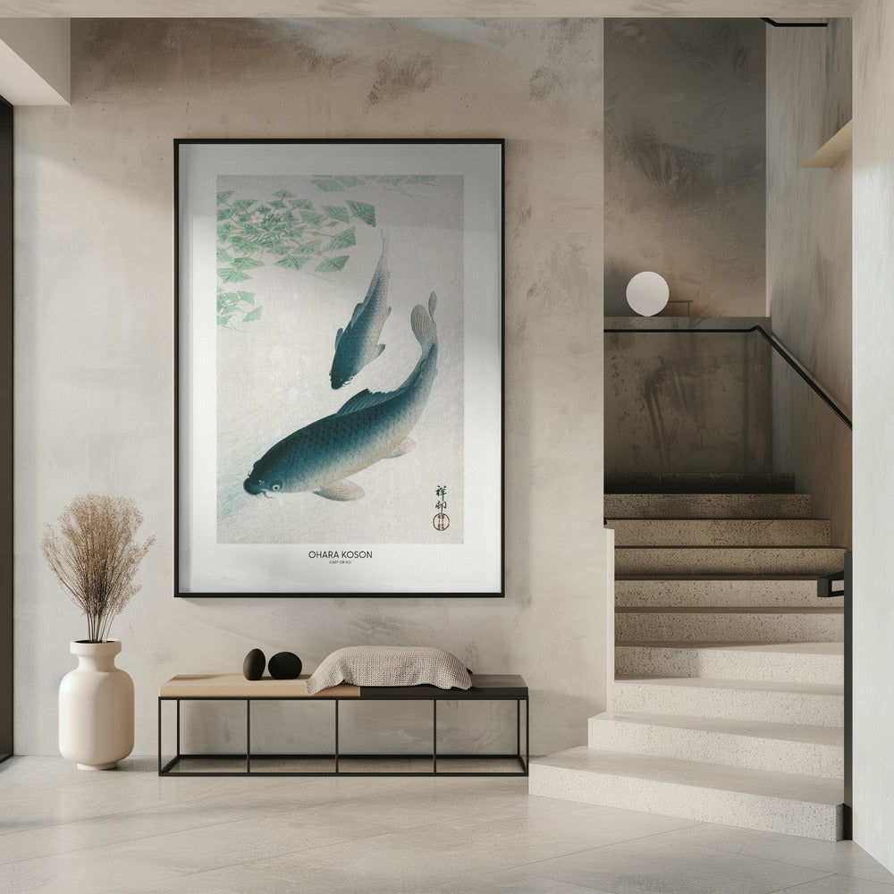 Carp Or Koi | Poster