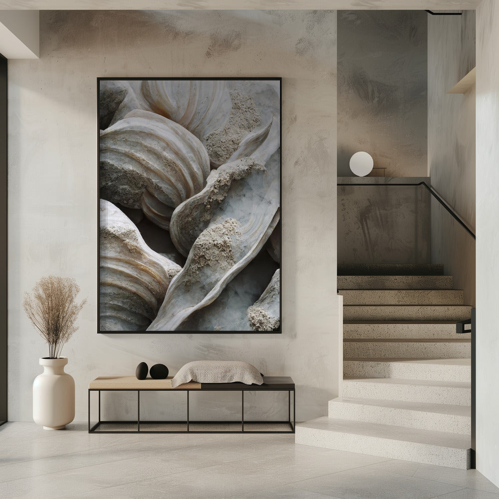 Shell Symphony | Poster