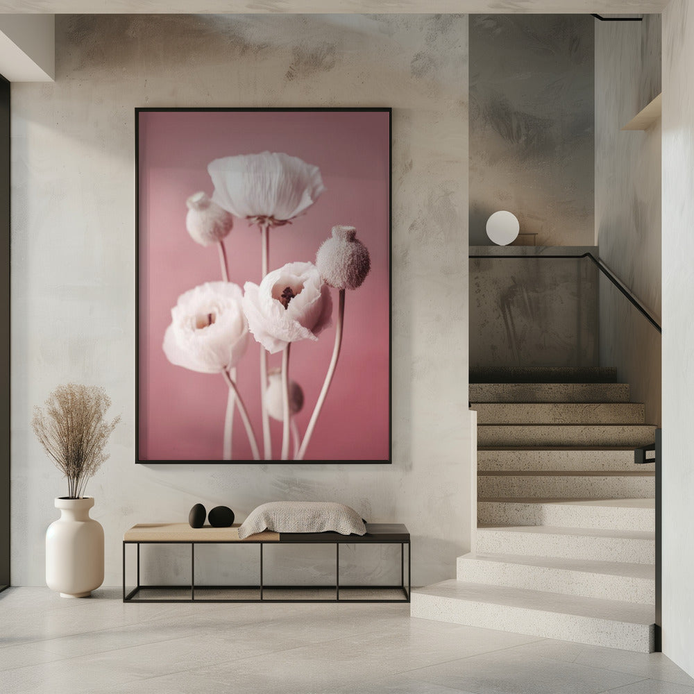 Soft Blooming Poppies | Poster