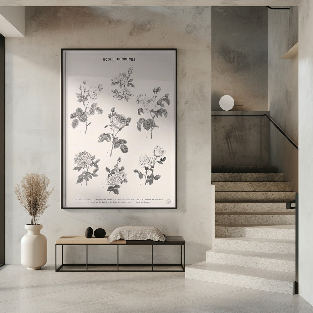 Roses | Poster