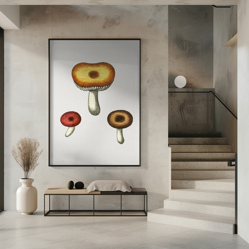 Hand Drawn Galerina Mushroom | Poster