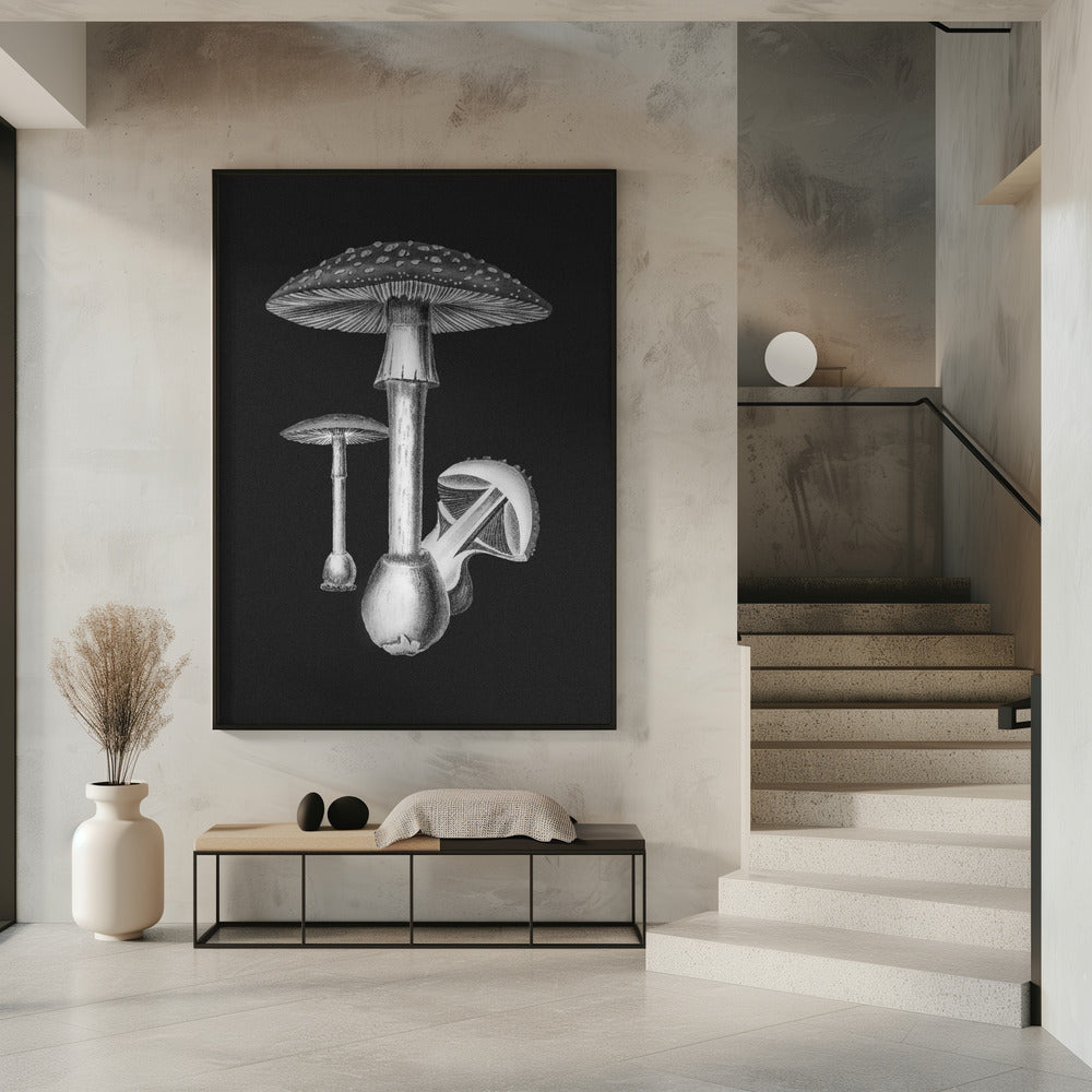 Amanita Muscaria Dark Background BW | Poster