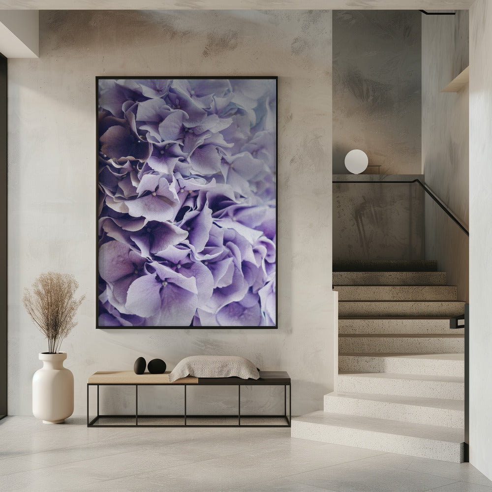 Vibrant Purple Hydrangea Flowers | Poster