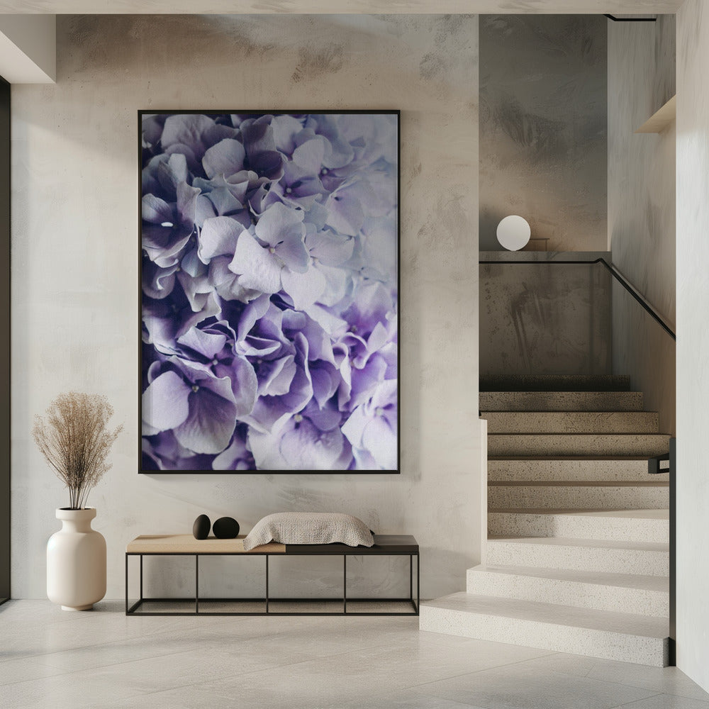 Vibrant Purple Hydrangea Flowers | Poster