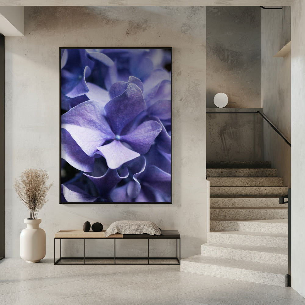 Delicate Purple Hydrangea Petals | Poster