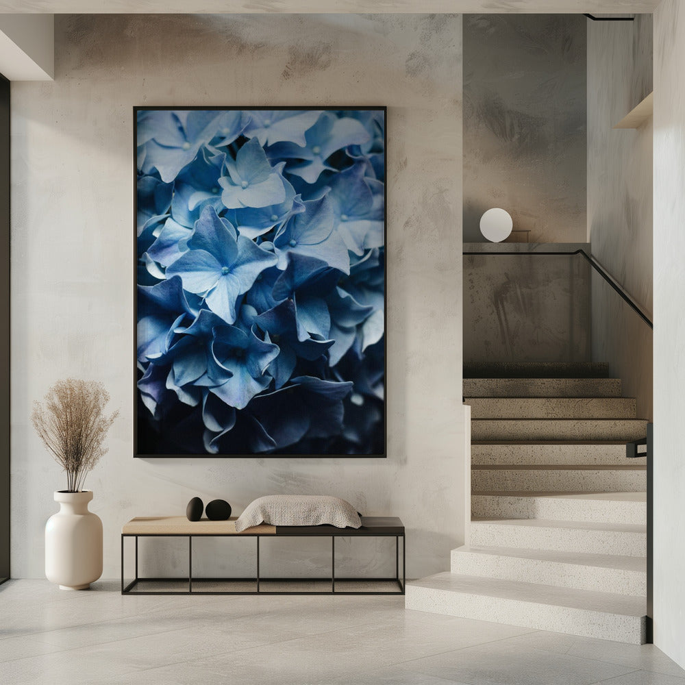 Pretty Sight Blue Hydrangea | Poster