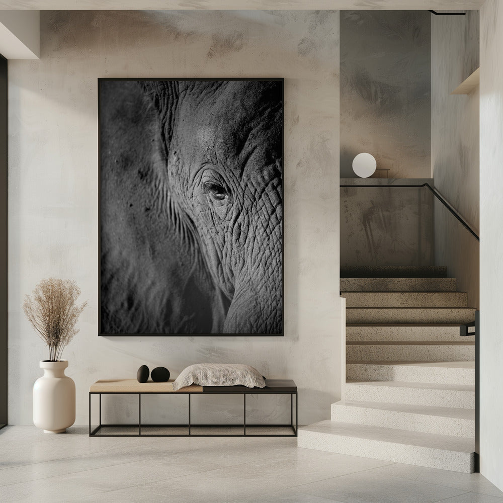 Majestic Wisdom | Poster