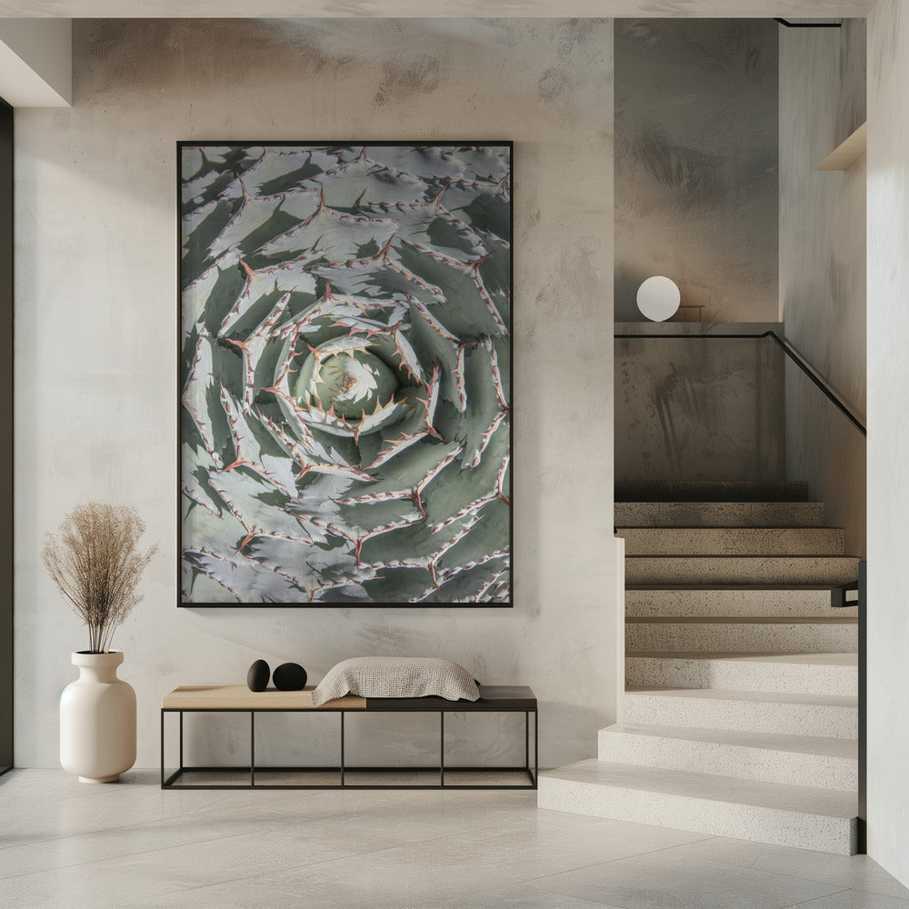 Spiralförmiges Sukkulenten-Labyrinth | Poster