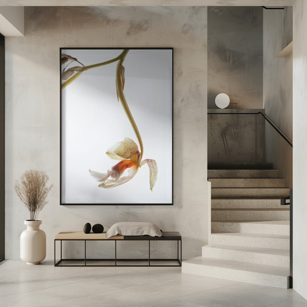 Eleganter Verfall | Poster