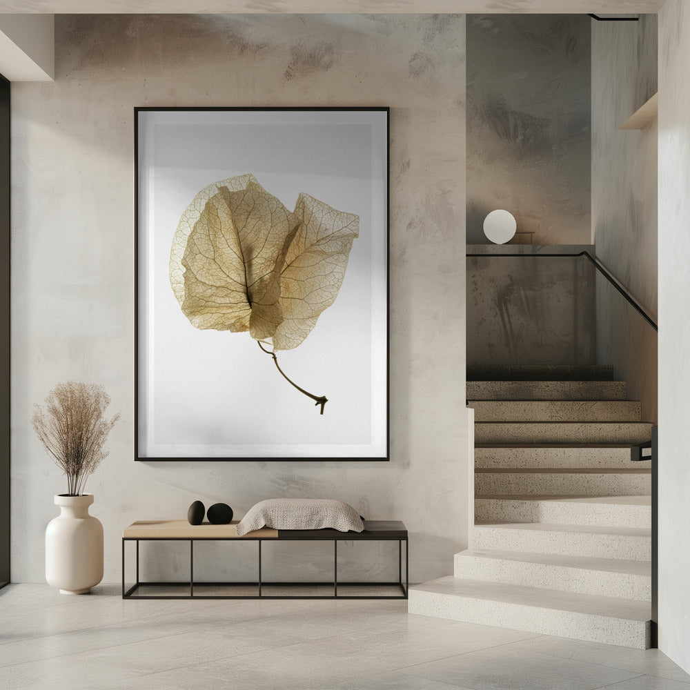 Zarte Blattadern | Poster