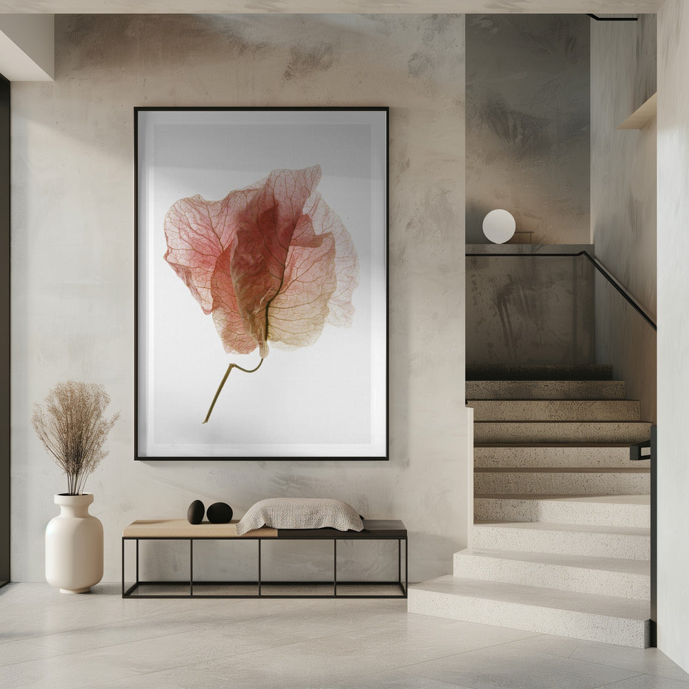 Delicate Petal Veins | Poster