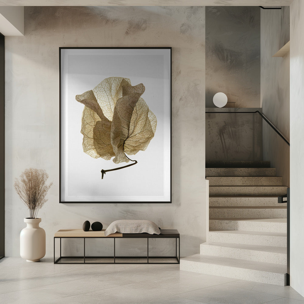 Flüsternde Blütenblätter | Poster