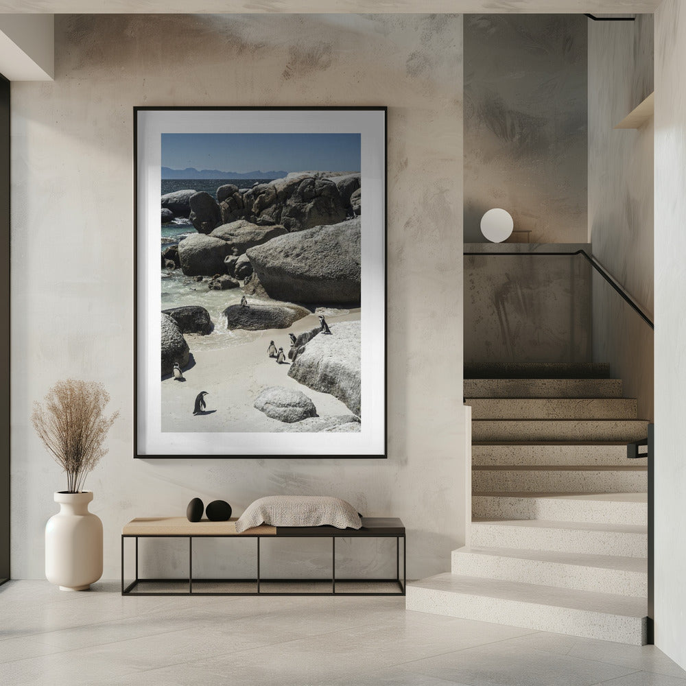 Küstenspaziergang der Pinguine | Poster