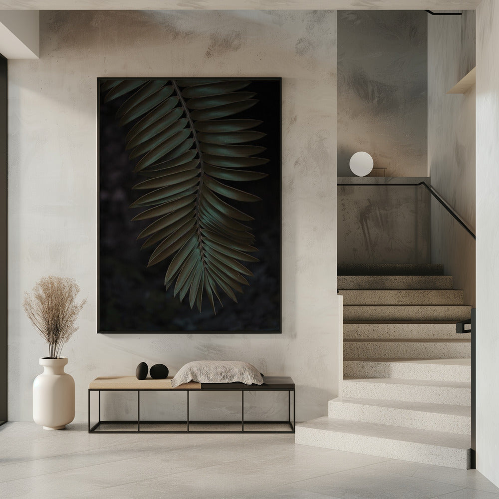 Frond in Shadow | Poster