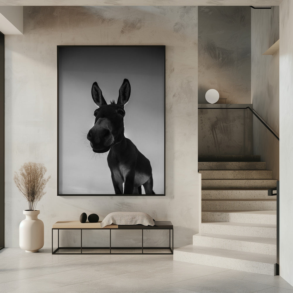 Neugieriger Eselblick | Poster