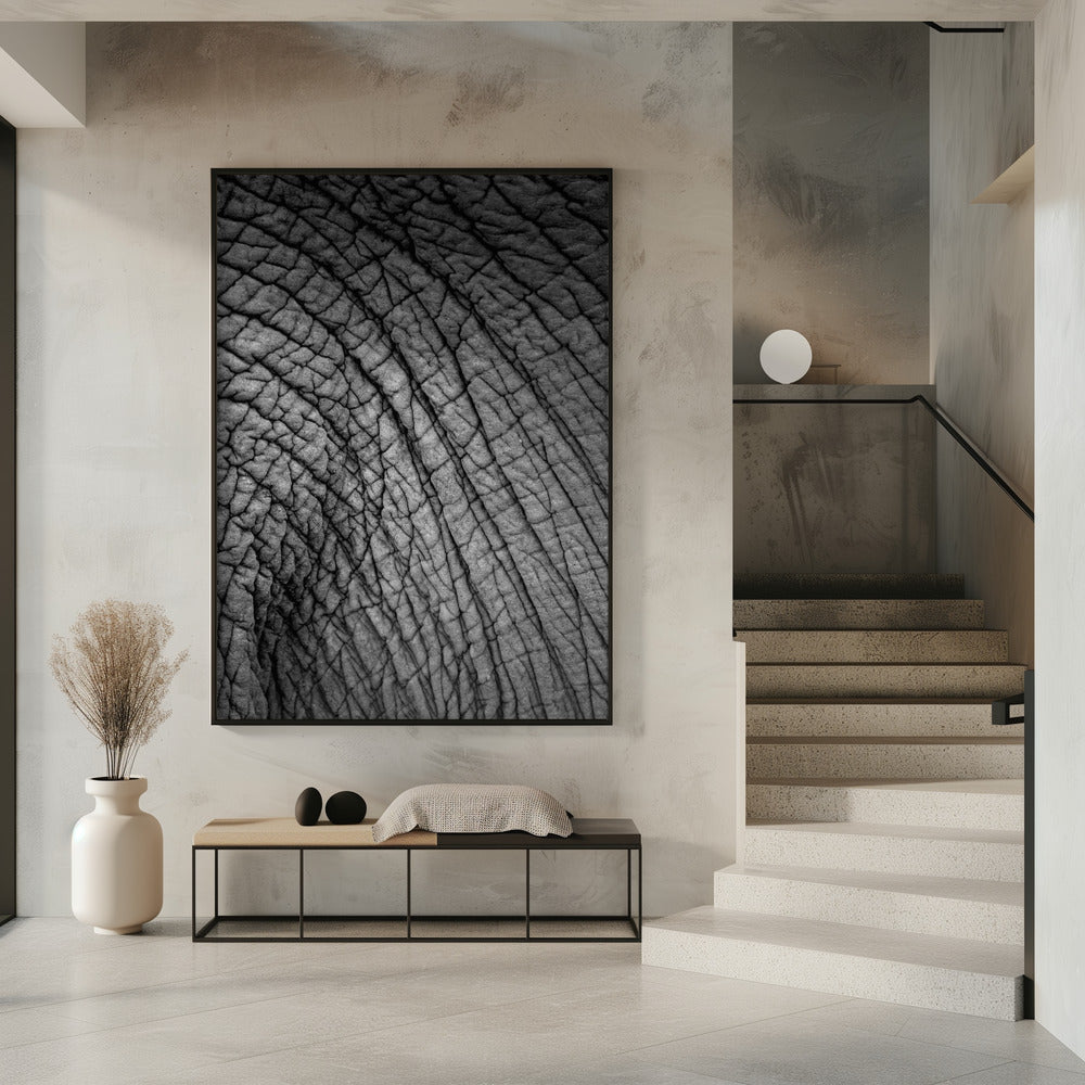 Elefantentextur | Poster