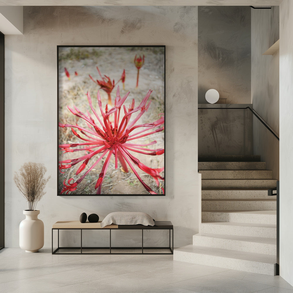 Purpurrote Spiralen | Poster