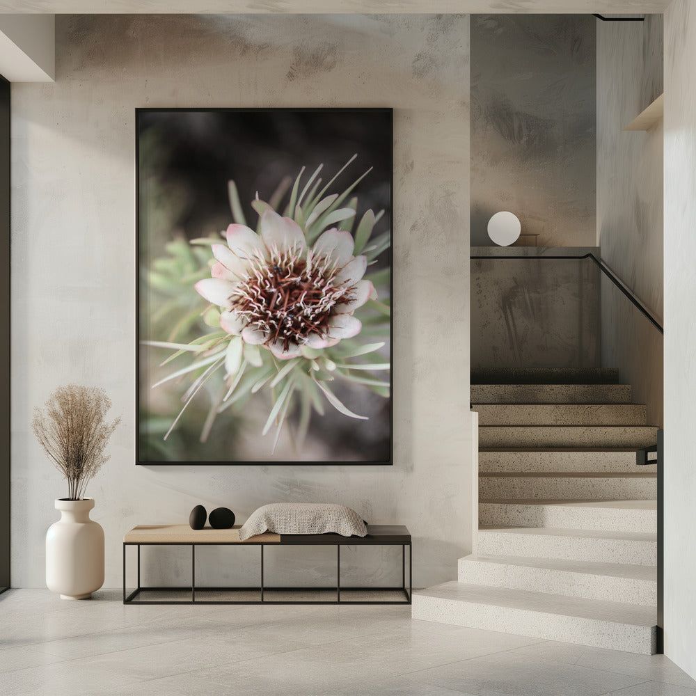 Wüstenblüte Halo | Poster