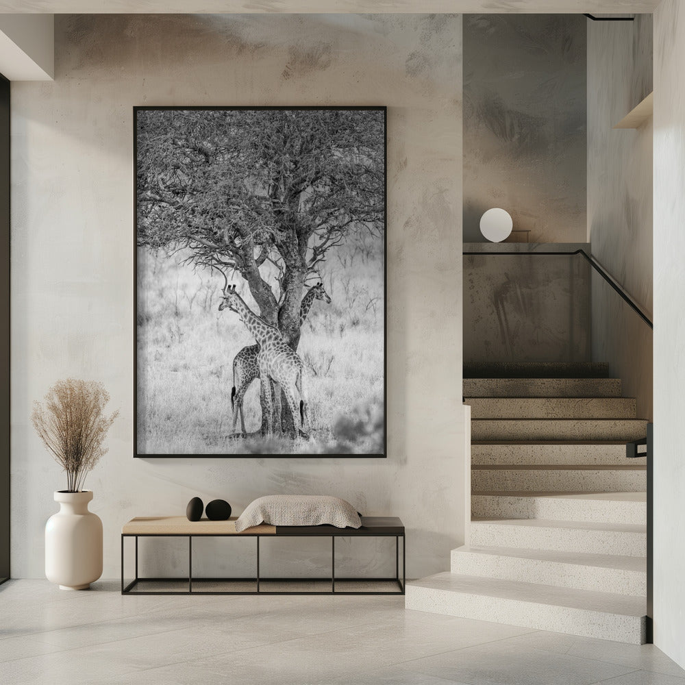 Unter afrikanischem Himmel | Poster