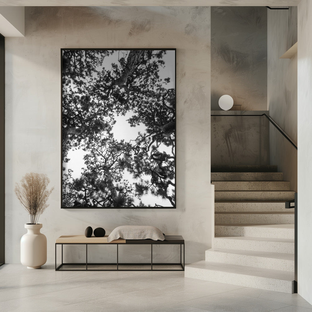 Baldachin-Symphonie | Poster