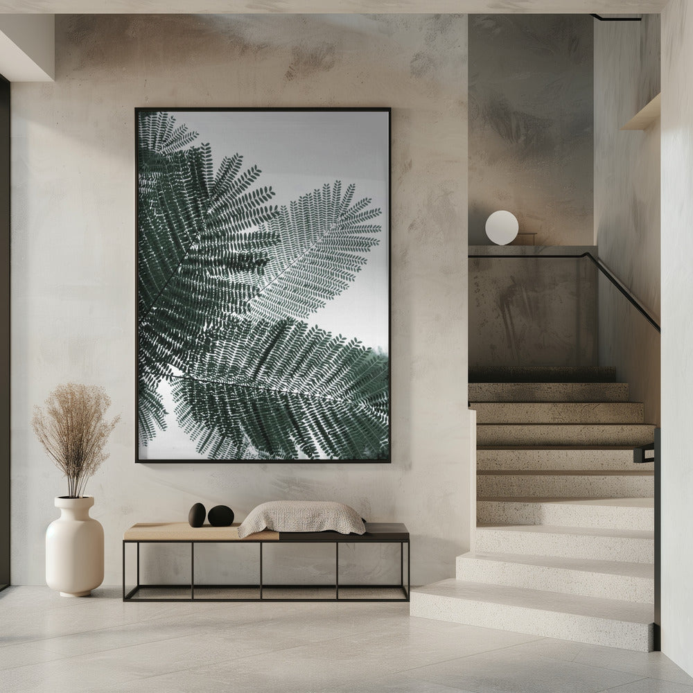 Fern Whispering | Poster