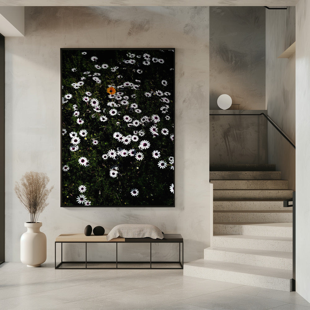 Einzigartige Blüte | Poster